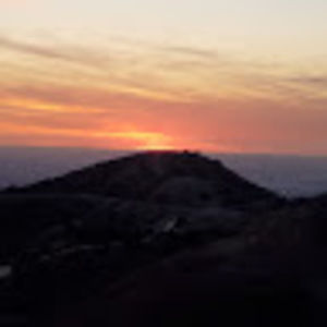 Meet your Posher, Boris